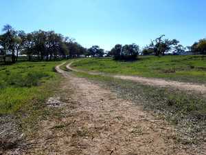 Bankersmith  Tx Rv Park And Camping Grounds   Fredricksburg Tx 0