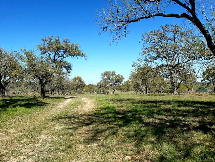 Bankersmith  Tx Rv Park And Camping Grounds   Fredricksburg Tx 5
