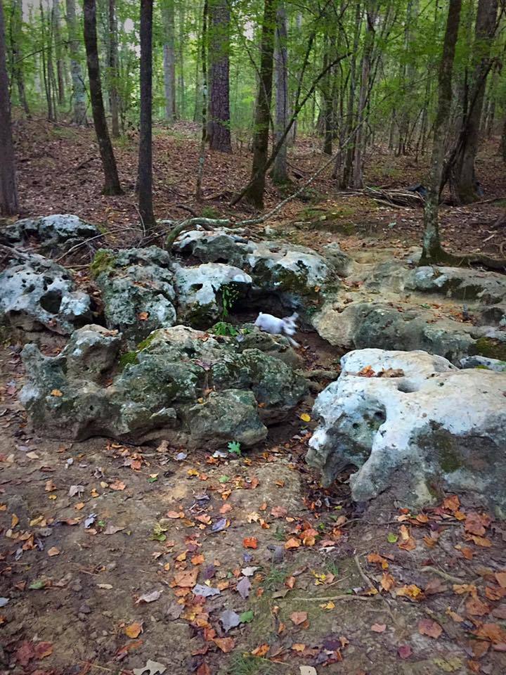 St. Stephens Historical Park 6 Photos, 49 Reviews St Stephens, AL