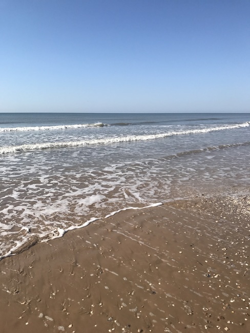 Sargent Beach Rv Park Sargent Tx 24