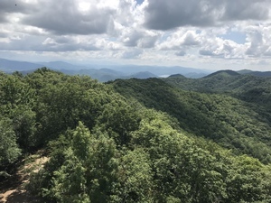 Fish Trails Campground Laurel Bloomery Tn 49