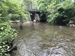 Fish Trails Campground Laurel Bloomery Tn 96