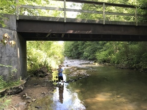 Fish Trails Campground Laurel Bloomery Tn 98