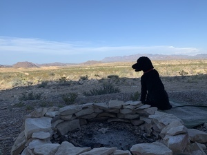 Ocotillo Vistas Terlingua Tx 4