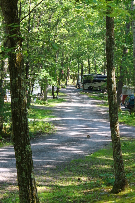 Gray Squirrel Campsites Beavertown Pa 4