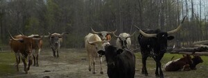 A Okay Rv Park Dothan Al 3