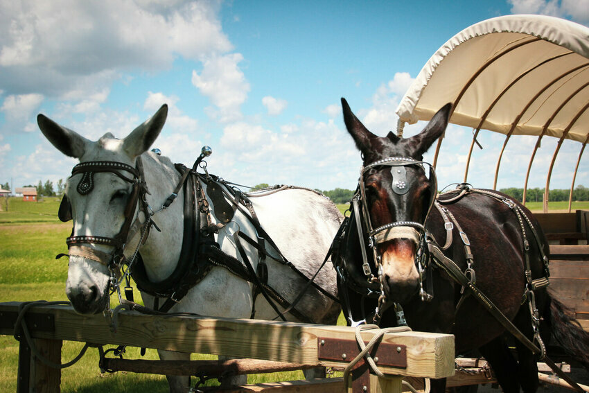 Spot Campground Desmet, SD RoverPass