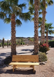 Imgnewbench