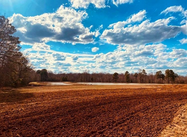 Knights Landing RV resort 21 Photos Sparkman, AR RoverPass