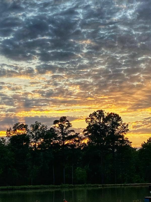 Knights Landing RV resort 21 Photos Sparkman, AR RoverPass