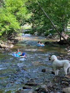 Mountain View Rv Park 4