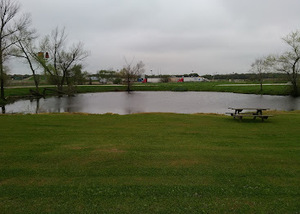 Yellow Rose Rv Park Leona Tx 7