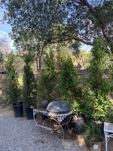 Rv Life Campground Altadena Ca 19