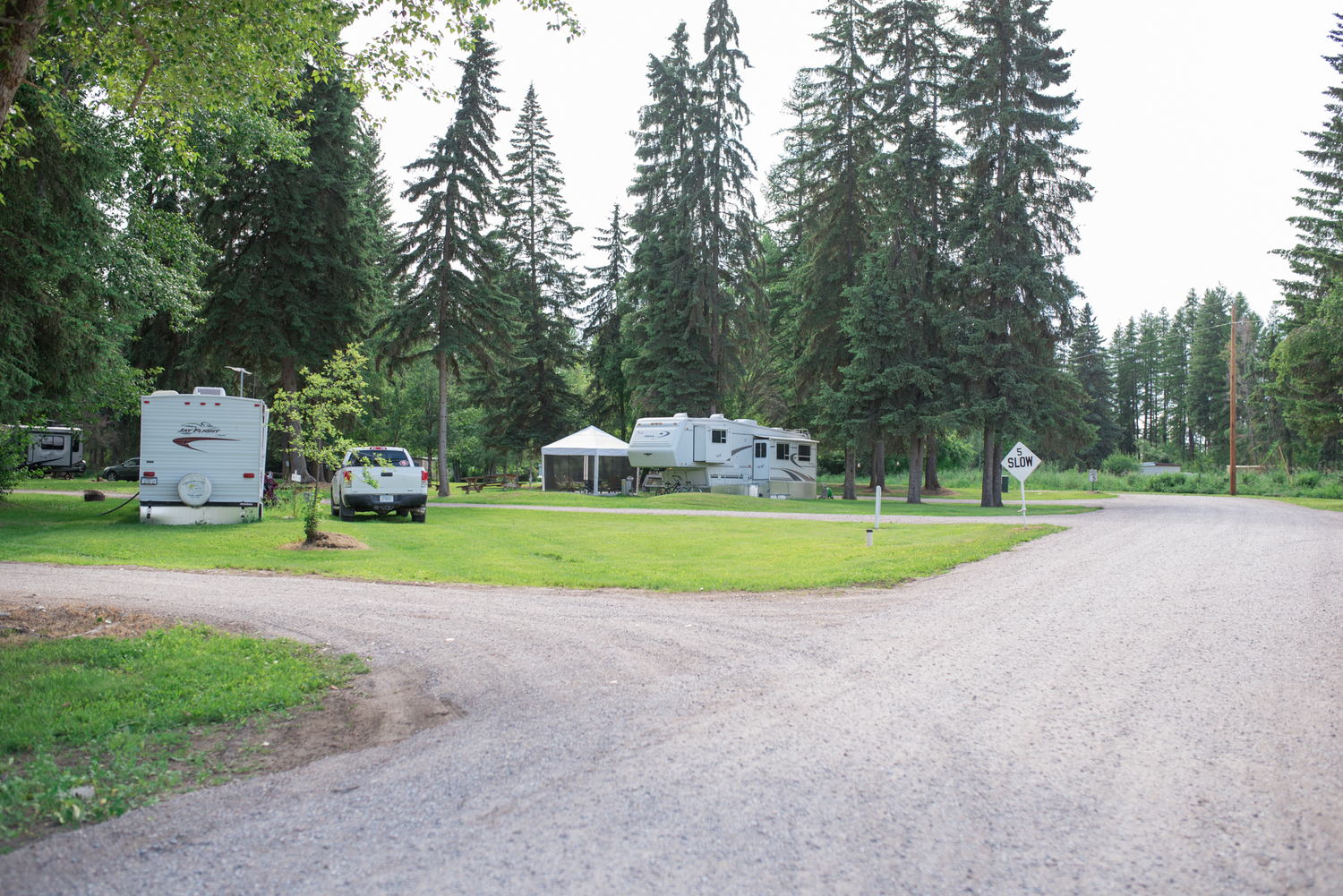 Mission Meadows CampingRV PRK Go Camping America