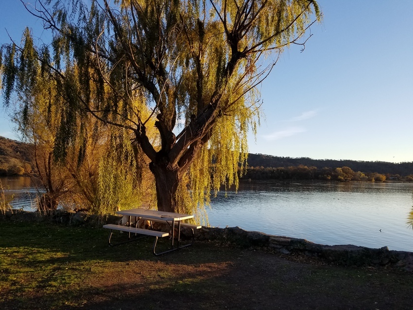The Oasis Campground Clearlake Oaks Ca 2