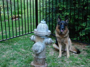 Deer Springs Rv Park Franklin Nc 13