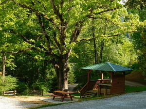 Deer Springs Rv Park Franklin Nc 17