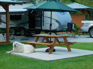 Deer Springs Rv Park Franklin Nc 39