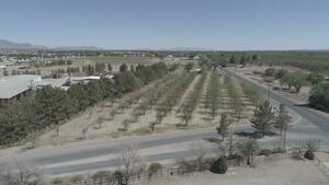 Coachlight Inn Rv Park Las Cruces Nm 29