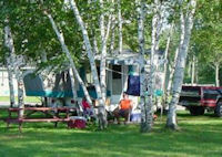 Wesleyan Woods Campground Vassar Mi 9