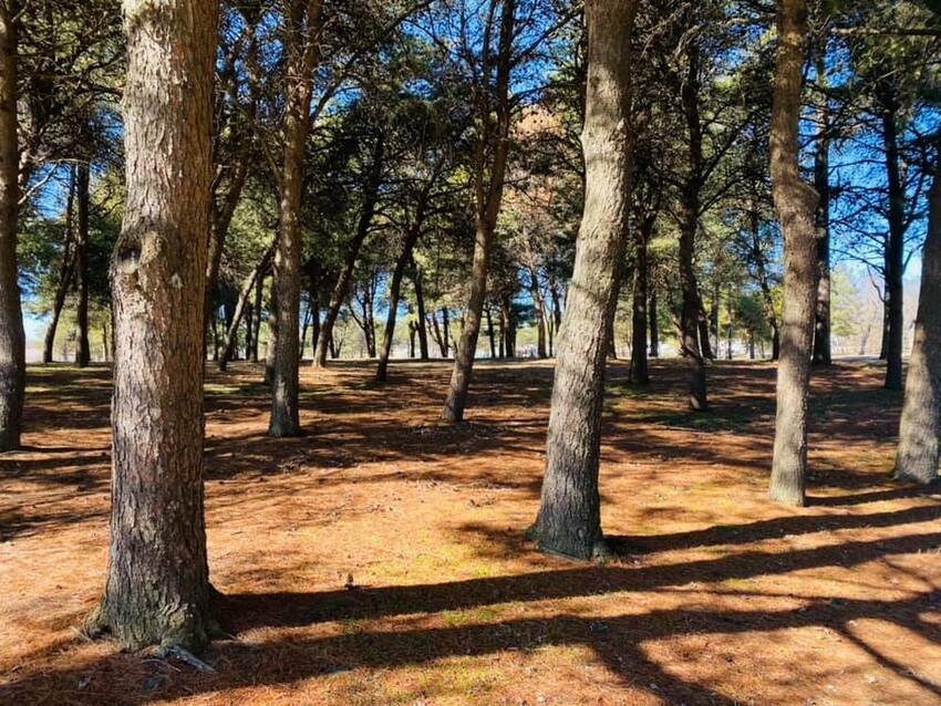 Yellow Banks Recreation Center Dale, IN RoverPass