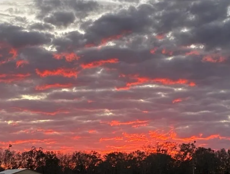 City RV Parks Mobile, AL RoverPass