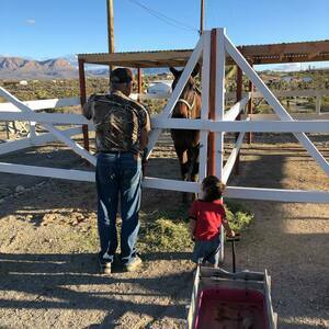 Happy Trails Campground And Mini Motel Meadview Az 3