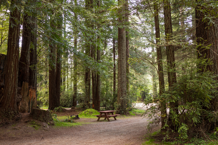 Ramblin Redwoods Campground And Rv Park Crescent City Ca 3