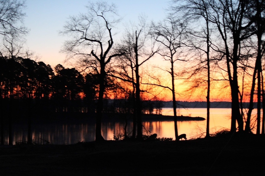 Island View Rv Park Jefferson Tx 6