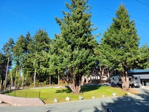 Cypress Hills Rv Campground   Langlois  Or Langlois Or 1