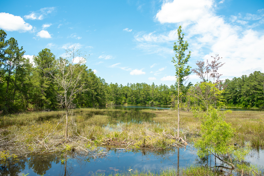 Best 10 Jesup, GA RV Parks & Campgrounds