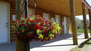 Sheyenne Oaks Rv Park   Campground Leonard Nd 7