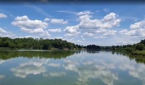 Camper Village Rv Park Dry Ridge Ky 2