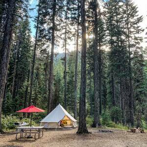 White Pine Camping Co    Donnelly  Id Donnelly Id 4