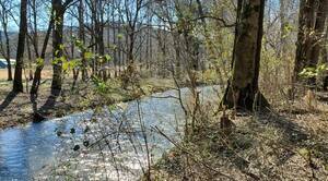 Sweethaven Rv Park Waterloo Al 2
