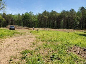 Sweethaven Rv Park Waterloo Al 3