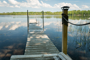 Warblers Cove Lupton Mi 2