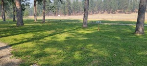 Blaine Memorial Campground Rock Creek Bc 3