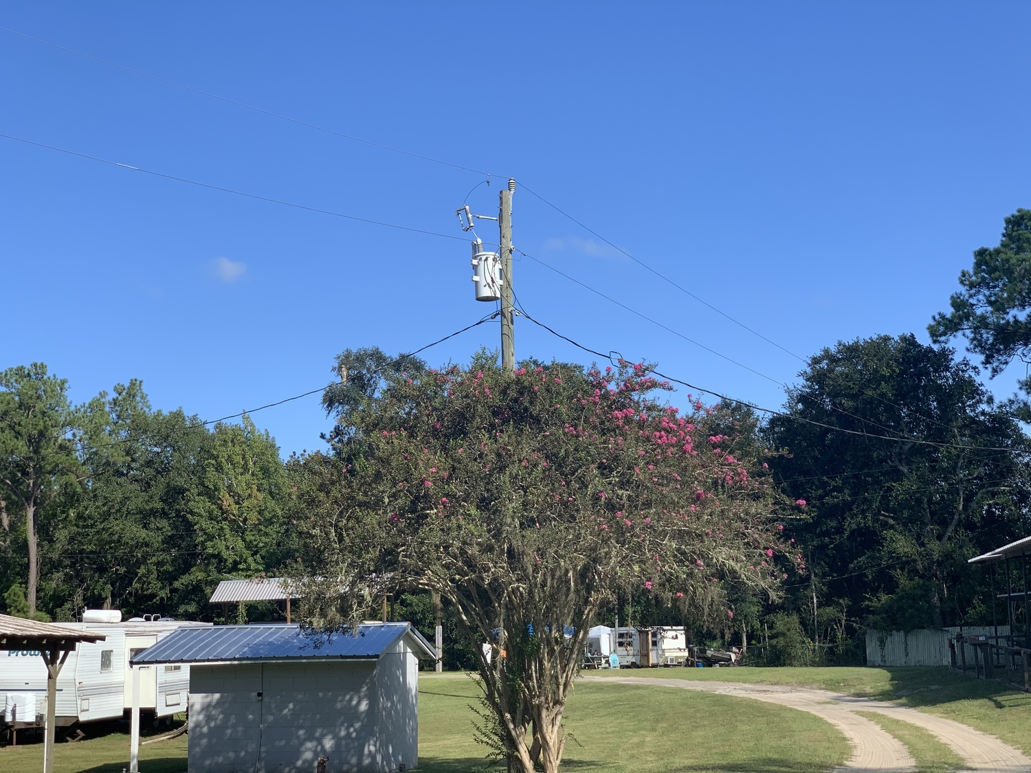 Ed & Bernice's Fish Camp 3 Photos Hosford, FL RoverPass