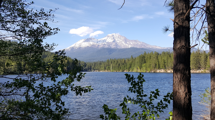 Out Livin  Mount Shasta Ca 4