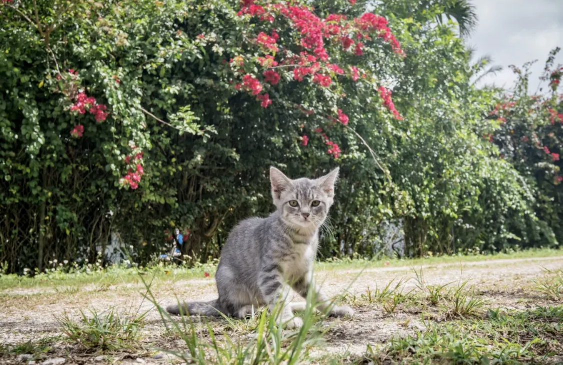 Redlands Acre Campground 9 Photos, 2 Reviews Homestead, FL