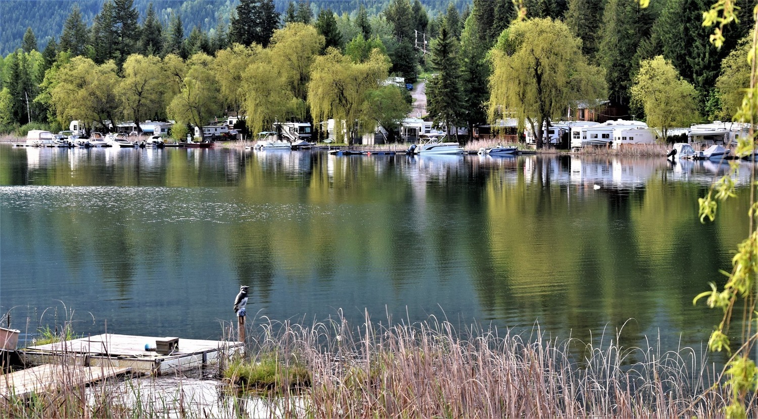 White Lake RV & Fishing Resort 5 Photos Sorrento, BC RoverPass
