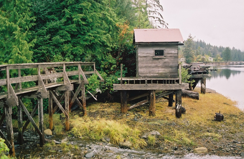 Best 10 Winter Harbour, BC RV Parks & Campgrounds