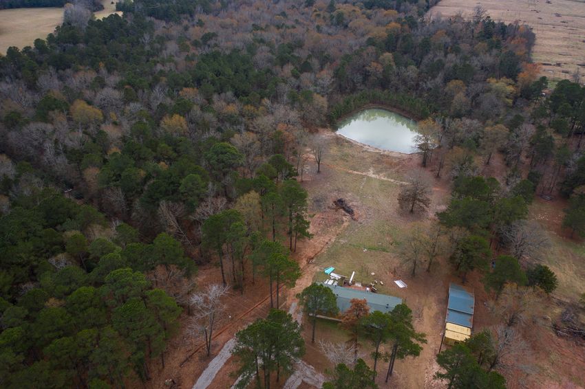 Daingerfield State Park Daingerfield, TX RoverPass