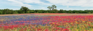 Homestead Rv Community Weatherford Tx 1