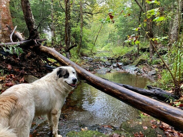 Port Hatchineha Campground and Boat Ramp Haines City, FL