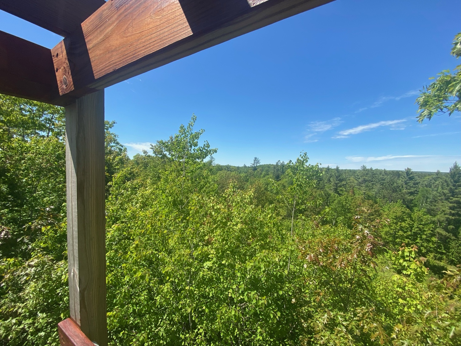 Land O' Lakes Nature RV Resort (Age Restricted 25+) 5 Photos Land