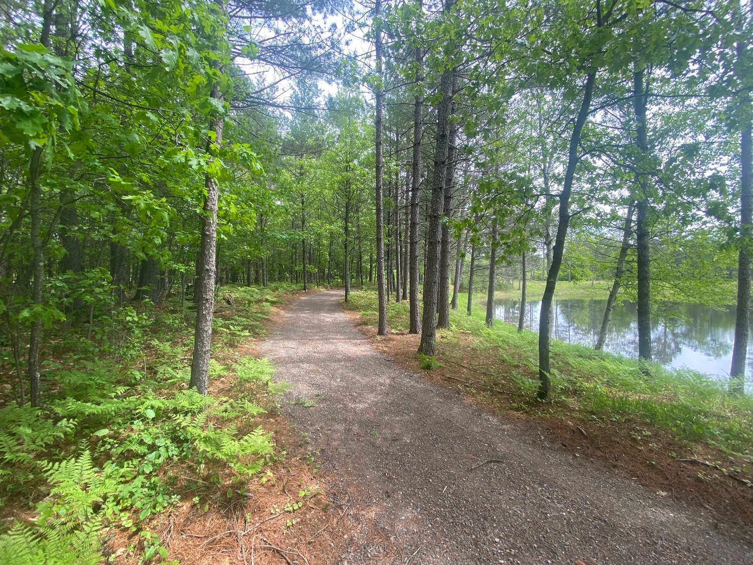 Land O' Lakes Nature RV Resort (Age Restricted 25+) 5 Photos Land