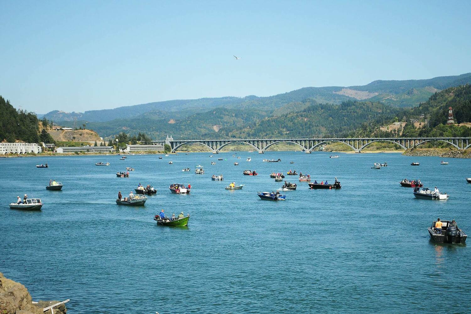 Lucky Lodge RV Park 5 Photos Gold Beach, OR RoverPass