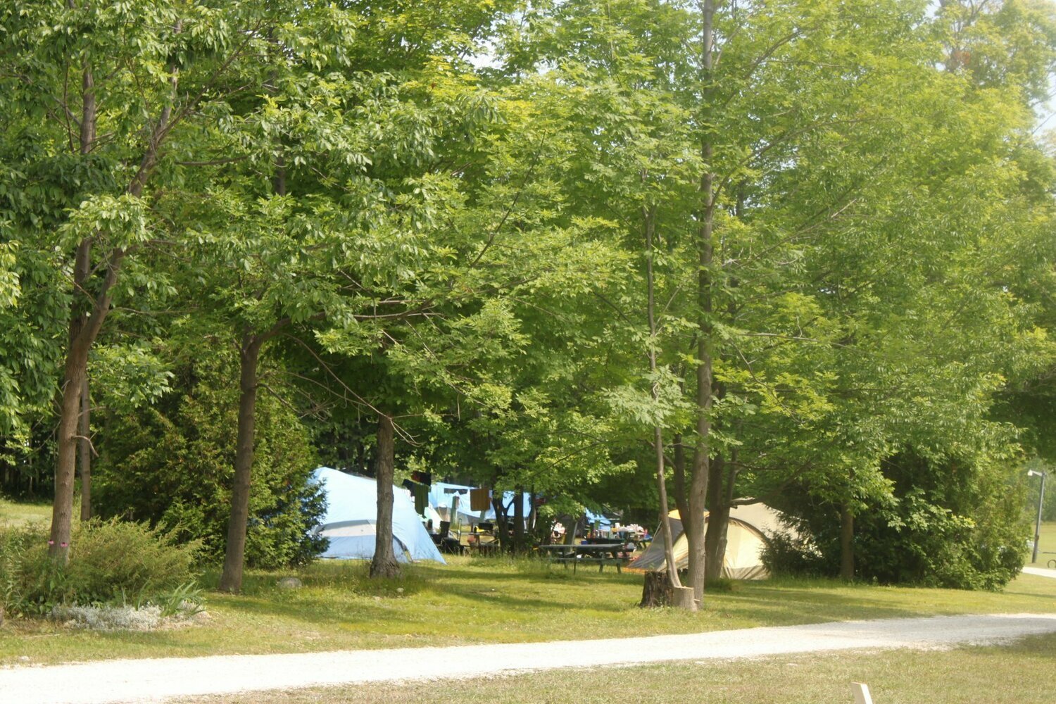 Maple Ridge Ranch Campgrounds Maple Ridge Family Campground Map – VEZAPG